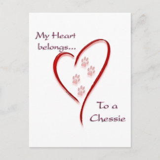 Chesapeake Bay Retriever Heart Belongs Postcard
