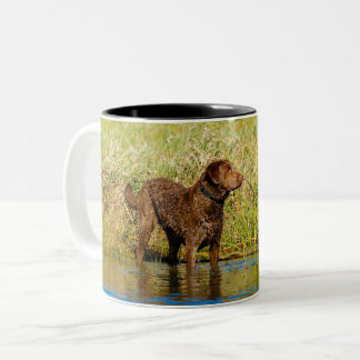 Chesapeake Bay Retriever Hunting Dog Coffee Mug