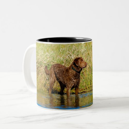 Chesapeake Bay Retriever Hunting Dog Coffee Mug