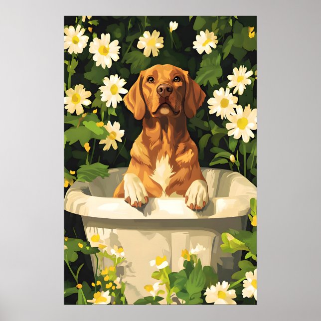 Chesapeake Bay Retriever In Bathtub Poster, Funny Poster (Front)