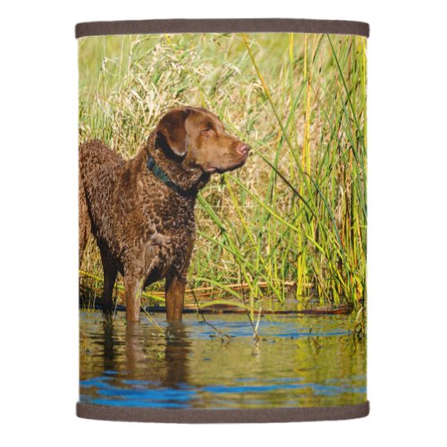 Chesapeake Bay Retriever Lamps  Shades