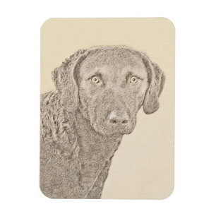 Chesapeake Bay Retriever Painting Original Dog Art Magnet