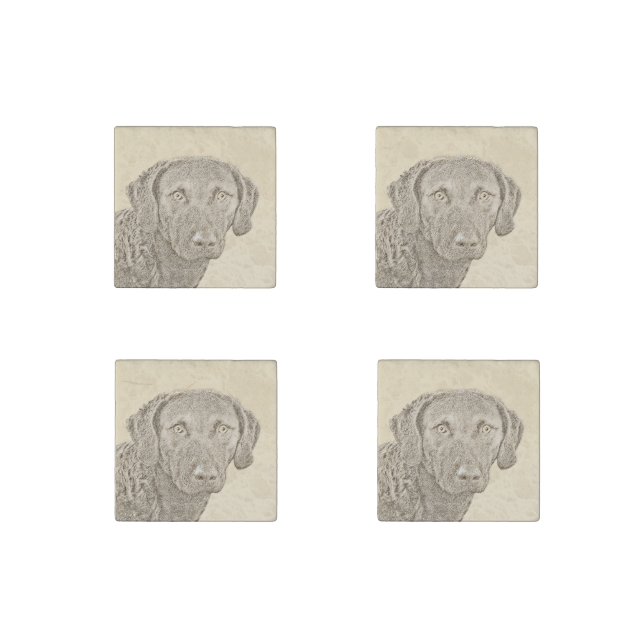 Chesapeake Bay Retriever Painting Original Dog Art Stone Magnet (Front)