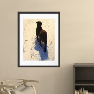 Chesapeake Bay Retriever Poster