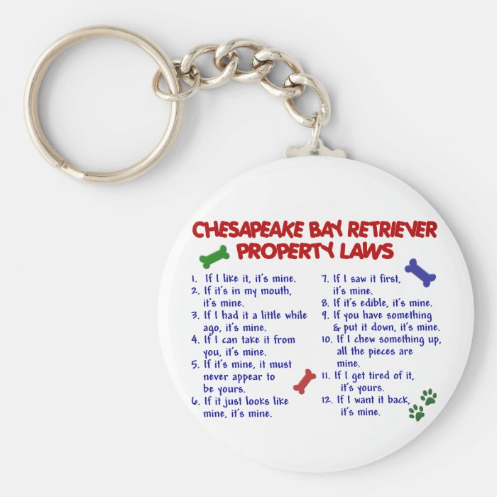CHESAPEAKE BAY RETRIEVER Property Laws 2 Keychain