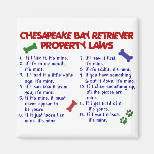 CHESAPEAKE BAY RETRIEVER Property Laws 2 Magnet