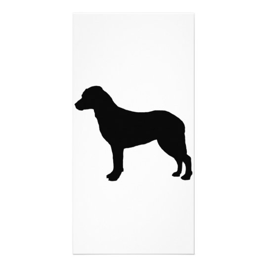 Download Chesapeake Bay Retriever Silhouette Love Dogs Card | Zazzle.com