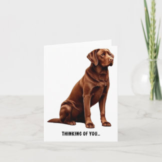Chesapeake Bay Retriever, Thinking of you... Card