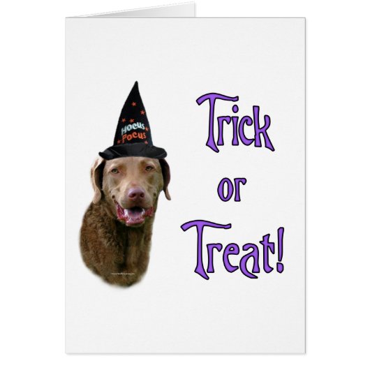Chesapeake Bay Retriever Trick Cards (Front)