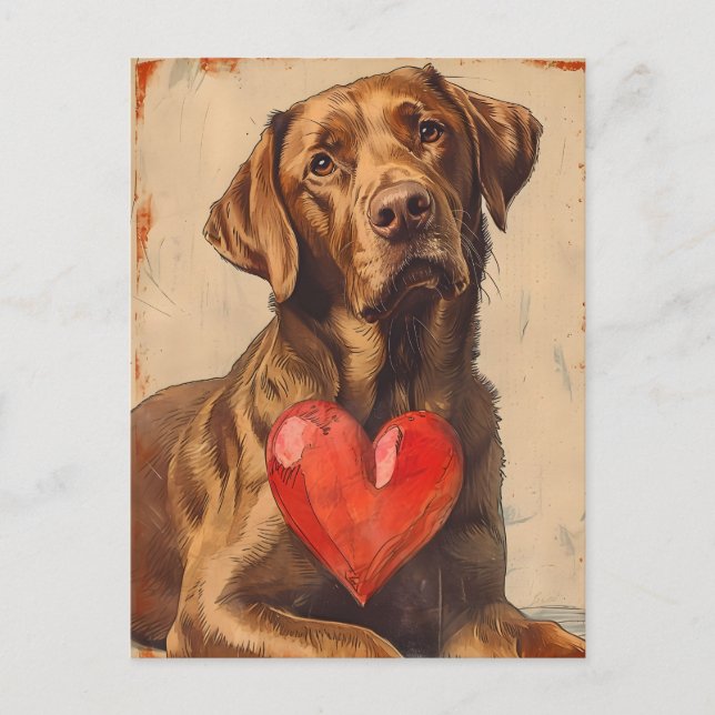 Chesapeake bay retriever Vintage Valentine's day  Postcard (Front)