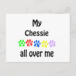 Chesapeake Bay Retriever Walks Design Postcard