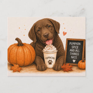 Chesapeake Bay Retriever Warm Pumpkin Spice Postcard
