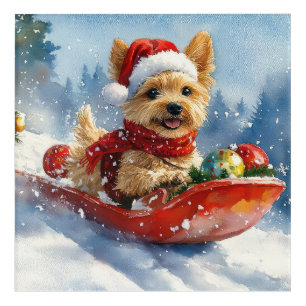 Chesapeake Bay Terrier Dog in Sledge Christmas Acrylic Print