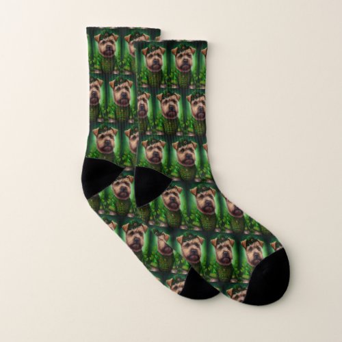 Chesapeake Bay Terrier in St Patricks Day Dress Socks