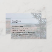 Chesapeake Bay Wetlands Business Card (Front/Back)