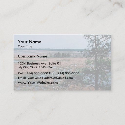 Customizable Chesapeake Bay Wetlands Business Card