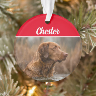 Chesapeake Retriever with Name and Photo Christmas Ornament