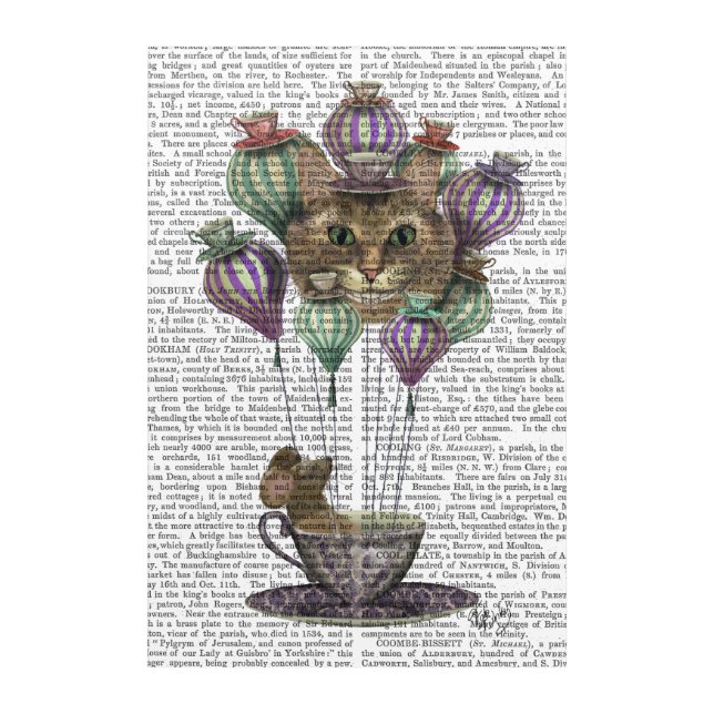 Cheshire Cat Hot Air Balloon Acrylic Print (Front)