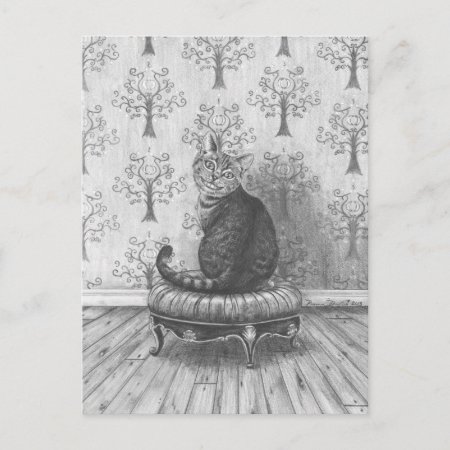 Cheshire Cat - Postcard