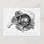 Cheshire Cat - We&#39;re All Mad Here Postcard at Zazzle