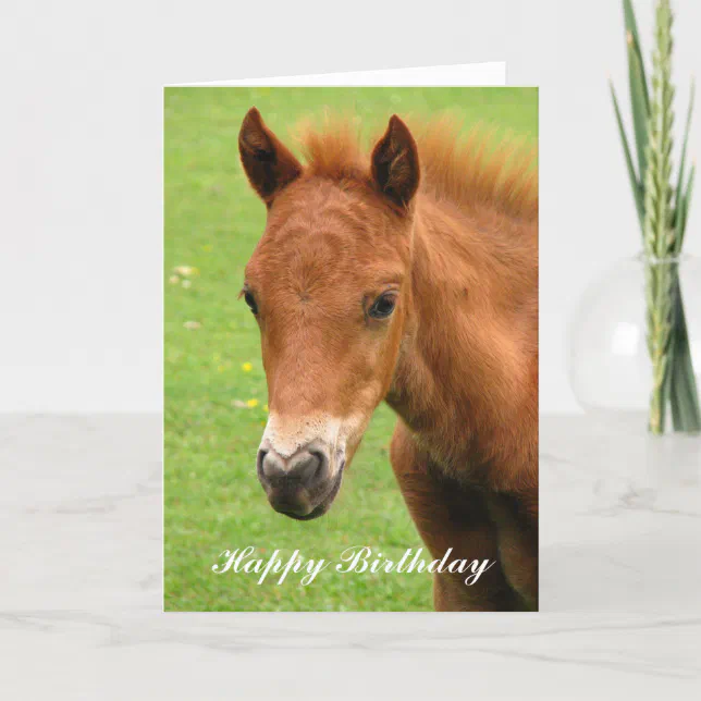 Chesnut foal baby horse happy birthday card | Zazzle