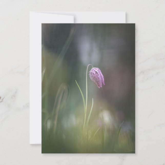 Chess Flower Nature Photo Card (Front)