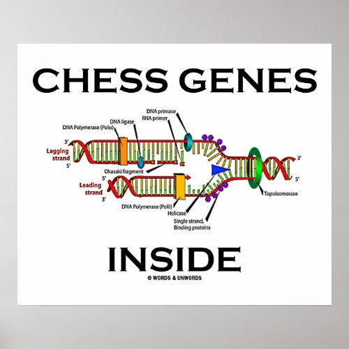Chess Genes Inside DNA Replication Poster