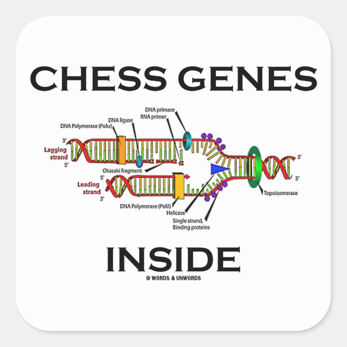 Chess Genes Inside (DNA Replication) Stickers