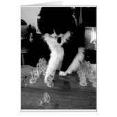 chess playing cat cards (Front)