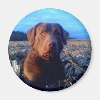 Chessie Magnet