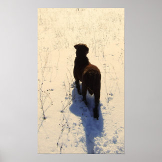 Chessie Poster
