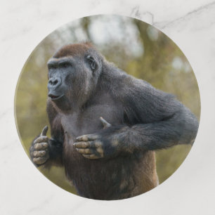 Chest Beating Gorilla Trinket Tray