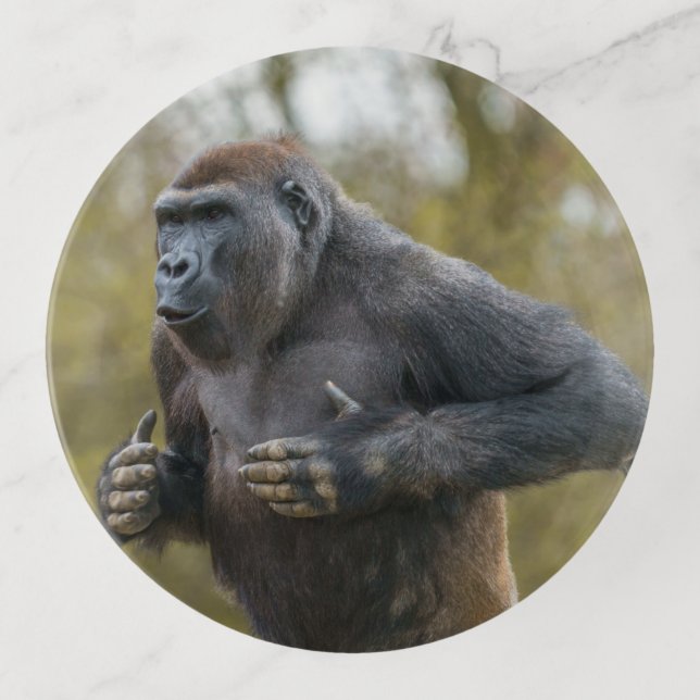 Chest Beating Gorilla Trinket Tray (Front)