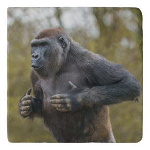 Chest Beating Gorilla Trivet