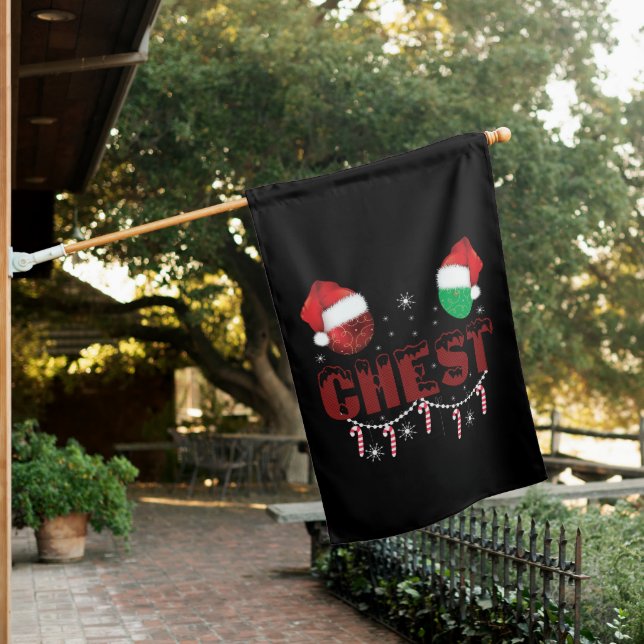 Chest Nuts Christmas Matching Christmas Couples  House Flag (In SItu)