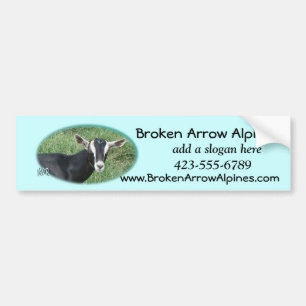 Chester Bumpersticker-customize Bumper Sticker