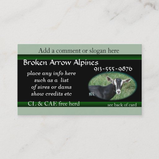 Customizable Chester Business Card-customize it