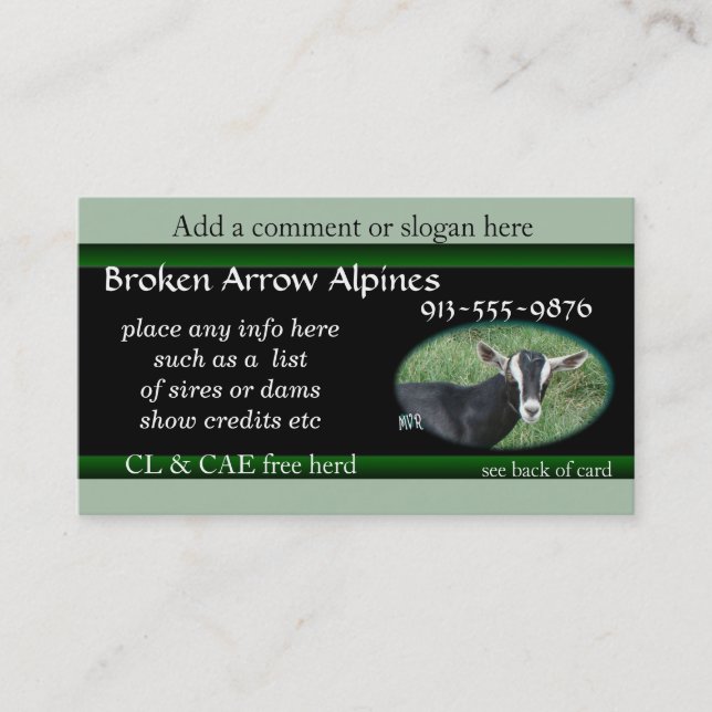 Chester Business Card-customize it Card (Front)