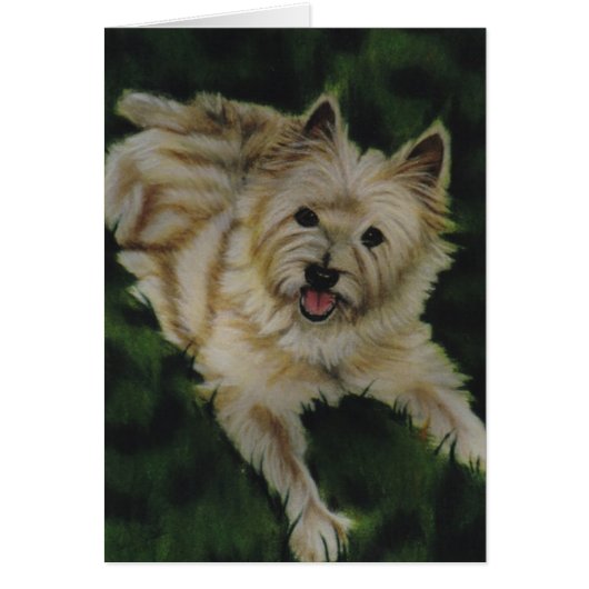 "Chester" Cards (Front)