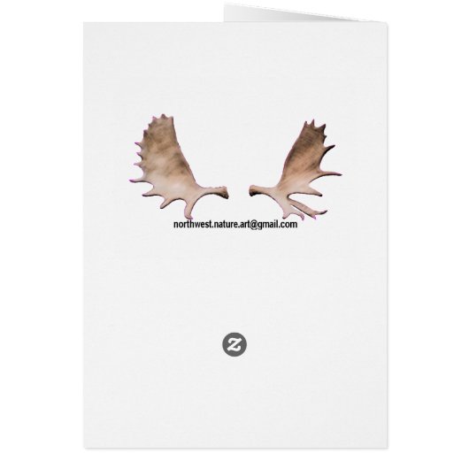 Chester Creek (Back)