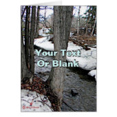 Chester Creek (Front)