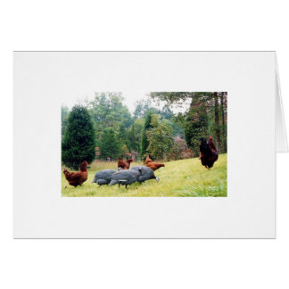 Chester & His Army On Patrol Cards