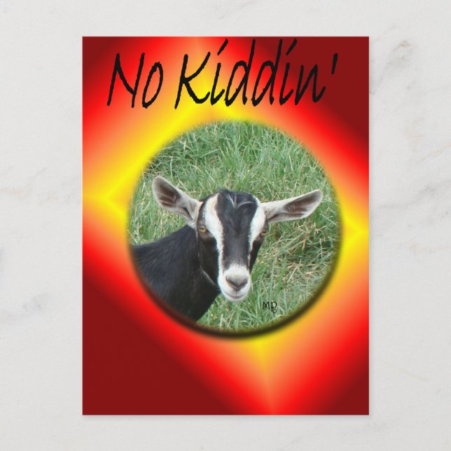 Chester Postcard-customize any occasion Invitation Postcard (Front)