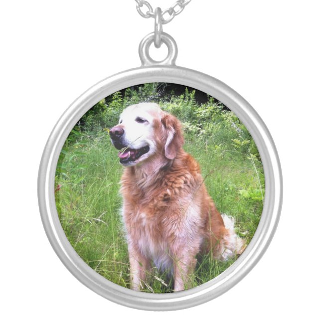 Chester Silver Plated Necklace (Front)