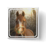 Chestnut Arab Horse Square Pin