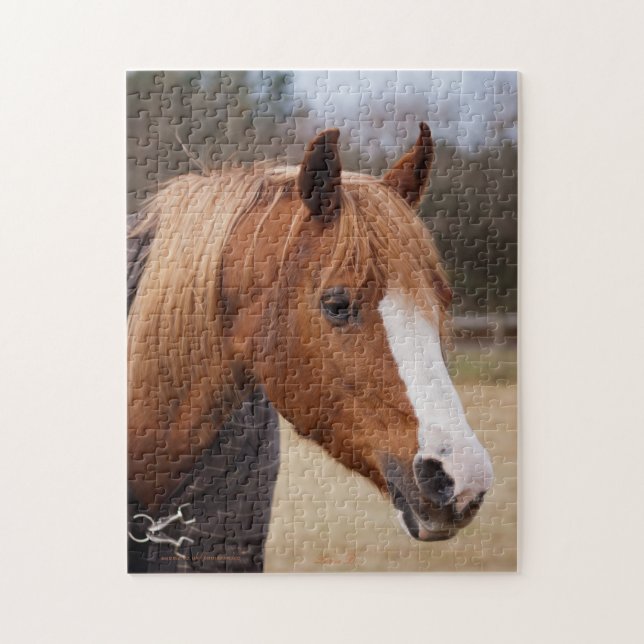 Chestnut Arabian mare Jigsaw Puzzle (Vertical)