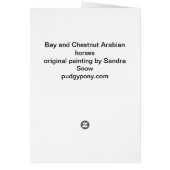 Chestnut & Bay Arabians Cards (Back)