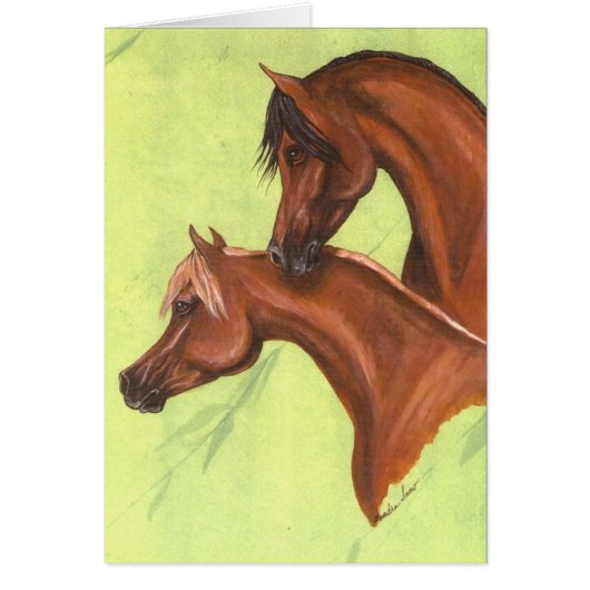 Chestnut & Bay Arabians Cards (Front)