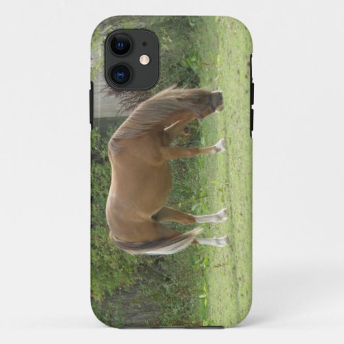 Chestnut Brown Horse Grazing iPhone Case