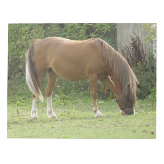 Chestnut Brown Horse Grazing Notepad (Front)
